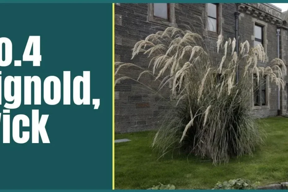 wick self catering the professional traveller featured