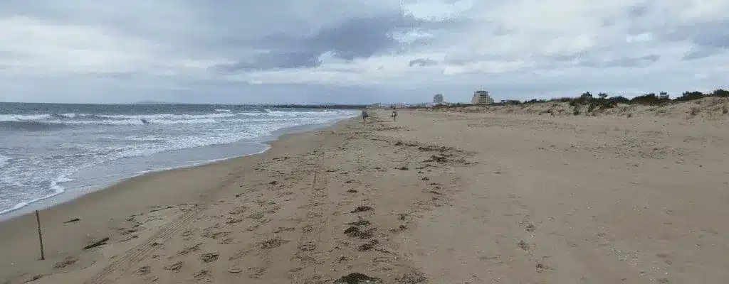 barril beach the professional traveller