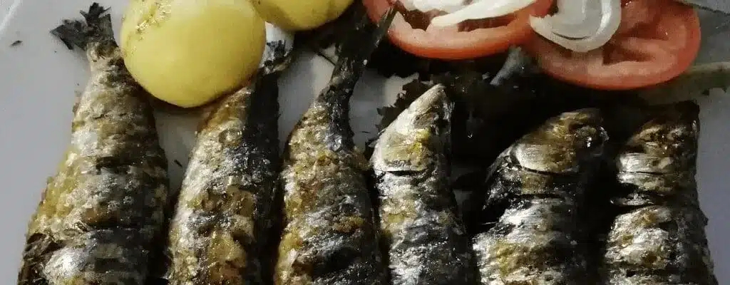 o pathinho the professional traveller monte gordo