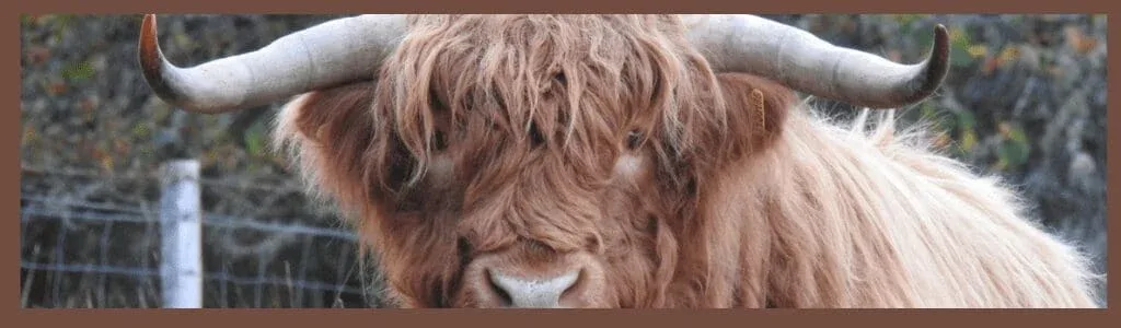 what to pack for scottish highlands