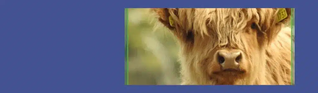 Copy of New Post Picture Format 12 1