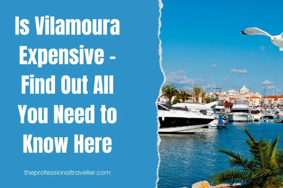 is vilamoura expensive featured image showing marina with boats in it and a seagull hovering over the water