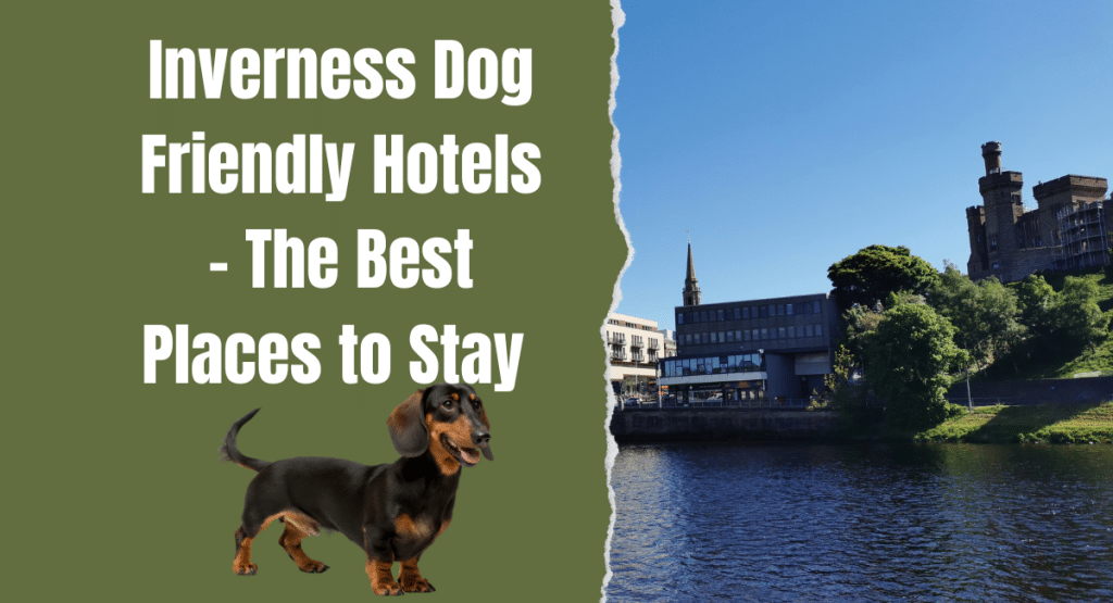 inverness dog friendly hotels featured image