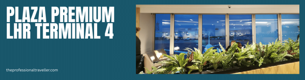 view from plaza lounge out to airport apron with plants in the foreground and plane at the back